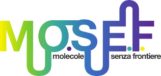 Logo MoSeF 316x159